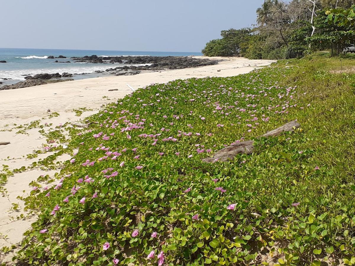 Lanta Daisy Residence Ko Lanta Esterno foto