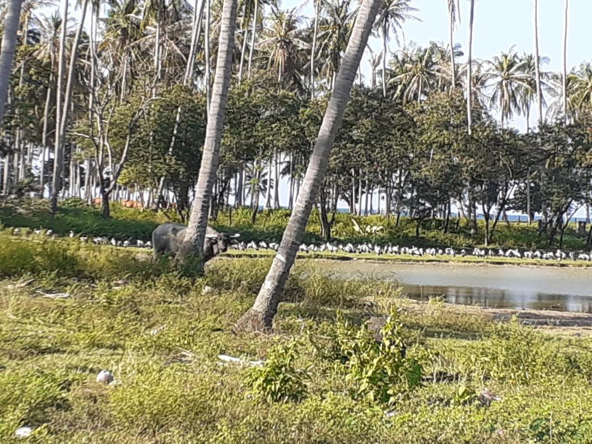 Lanta Daisy Residence Ko Lanta Esterno foto